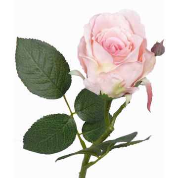 Rama de rosa artificial VRONI, rosa, 30cm, Ø6cm Rama de rosa artificial VRONI, rosa, 30cm, Ø6cm