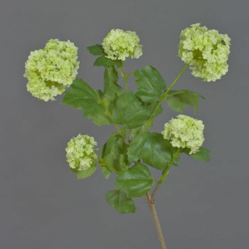 Rama de durillo artificial JIVA, verde, 50cm, Ø4-7cm