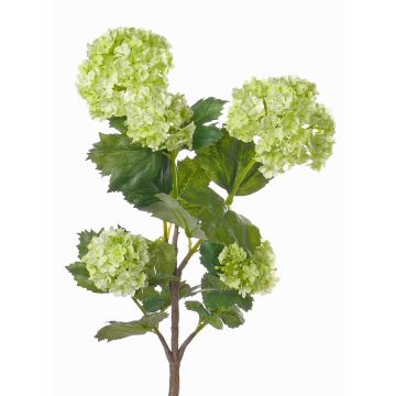 Rama de durillo artificial JIVA, verde claro, 60cm, Ø4-7cm Rama de durillo artificial JIVA, verde claro, 60cm, Ø4-7cm