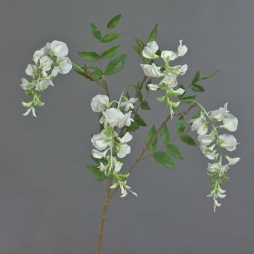 Rama artificial de glicinia SOULA con flores, blanca, 80 cm, Ø 7-8 cm Rama artificial de glicinia SOULA con flores, blanca, 80 cm, Ø 7-8 cm