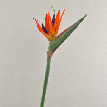 Strelitzia artificial MELIORN, naranja-violeta, 80 cm, 14 x 19 cm Strelitzia artificial MELIORN, naranja-violeta, 80 cm, 14 x 19 cm
