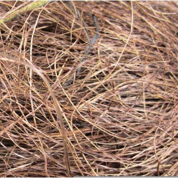 Fibra natural de sisal GIUSEPPA, marrón, 20 g Fibra natural de sisal GIUSEPPA, marrón, 20 g