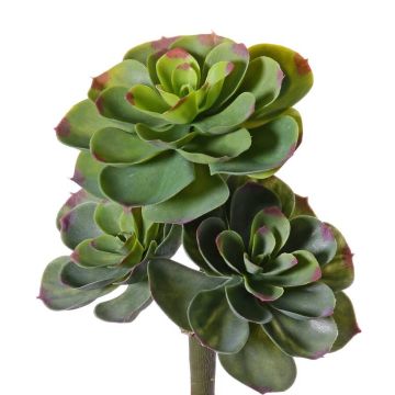 Echeveria de plástico NADIA con palo, verde-rojo, 30cm, Ø20cm Echeveria de plástico NADIA con palo, verde-rojo, 30cm, Ø20cm