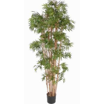 Planta artificial de bambú NARO, tallos auténticos, 150cm Planta artificial de bambú NARO, tallos auténticos, 150cm