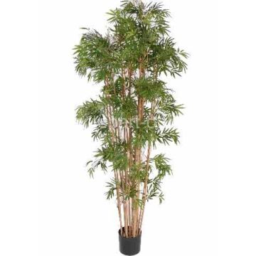 Planta artificial de bambú NARO, tallos auténticos, 150 cm Planta artificial de bambú NARO, tallos auténticos, 150 cm