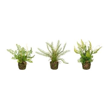 Mezcla de helechos artificiales FUNGAR, helecho de pelo de mujer, helecho espada, helecho escudo, 3 unidades, cepellón, verde, 22 cm, Ø 25 cm