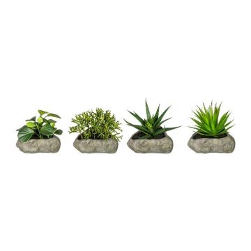 Arreglo decorativo de suculentas TASTIKE en maceta de piedra de poliresina, 4 unidades, verde, 12-15 cm