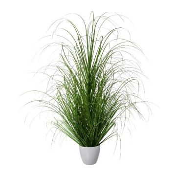 Hierba decorativa pennisetum KIVRA en maceta decorativa, verde, 90cm Hierba decorativa pennisetum KIVRA en maceta decorativa, verde, 90cm