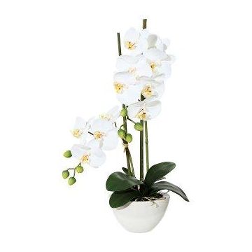 Orquídea Phalaenopsis artificial DINKA en cuenco de cerámica, con raíces, blanca, 50 cm