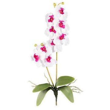 Orquídea Phalaenopsis artificial MORLEK, con soporte, raíces, blanco-lila, 60 cm Orquídea Phalaenopsis artificial MORLEK, con soporte, raíces, blanco-lila, 60 cm