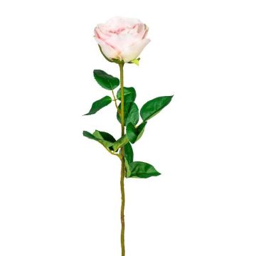 Flor artificial de rosa NORLAN, rosa, 70cm, Ø8cm Flor artificial de rosa NORLAN, rosa, 70cm, Ø8cm