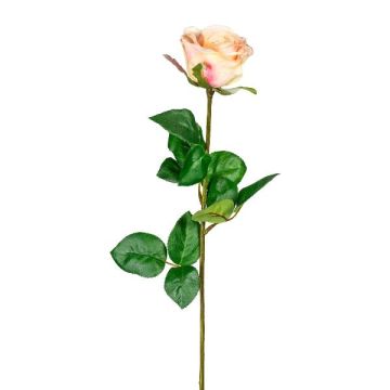 Flor artificial: rosa NORLAN, rosa-crema, 70cm, Ø8cm Flor artificial: rosa NORLAN, rosa-crema, 70cm, Ø8cm