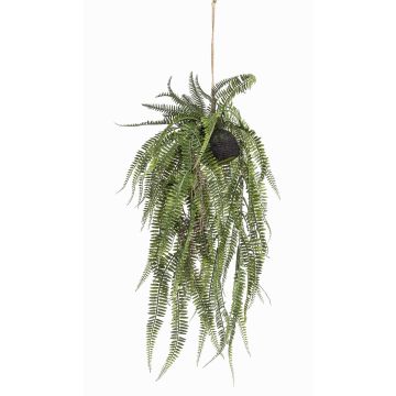 Planta artificial de helecho real MANASLU, con terrario y raíces, verde, 70 cm