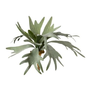Planta artificial, helecho de cuernos SLUHAR, soporte, verde, 35cm Planta artificial, helecho de cuernos SLUHAR, soporte, verde, 35cm