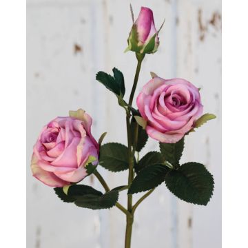 Rosa de terciopelo DELILAH, rosa, 55 cm, Ø 6 cm