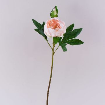 Peonía artificial FYRFAR, semiaberta, rosa claro, 60 cm Peonía artificial FYRFAR, semiaberta, rosa claro, 60 cm