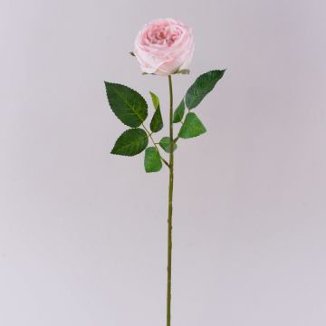Rosa artificial MARNUK, rosa claro, 60 cm, Ø 9 cm Rosa artificial MARNUK, rosa claro, 60 cm, Ø 9 cm