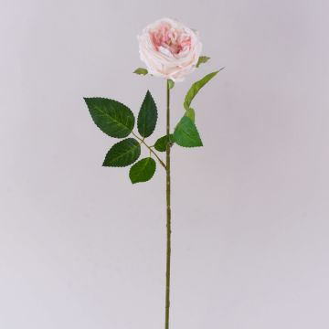 Rosa artificial MARNUK, color crema-rosa, 60 cm, Ø 9 cm Rosa artificial MARNUK, color crema-rosa, 60 cm, Ø 9 cm