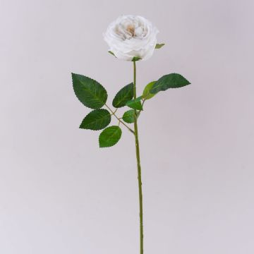 Rosa artificial MARNUK, color crema-blanco, 60 cm, Ø 9 cm Rosa artificial MARNUK, color crema-blanco, 60 cm, Ø 9 cm