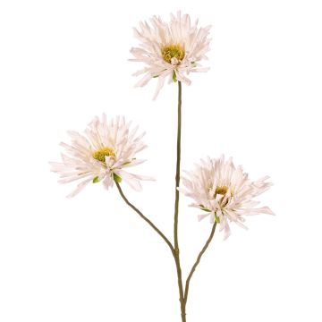 Rama decorativa de crisantemo LASDIM, blanco, 75 cm, Ø 11 cm Rama decorativa de crisantemo LASDIM, blanco, 75 cm, Ø 11 cm