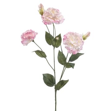 Lisianthus artificial RENARA, rosa-crema, 75 cm Lisianthus artificial RENARA, rosa-crema, 75 cm