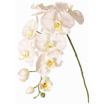 Rama artificial de orquídea Phalaenopsis WESA, blanca, 90 cm, Ø 11-12,5 cm