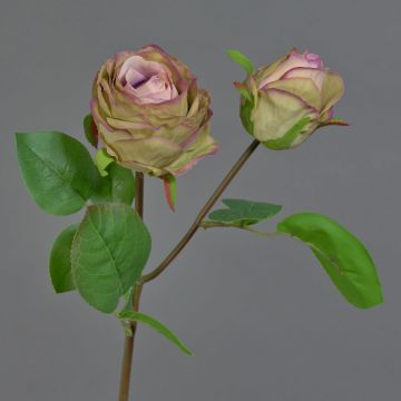 Flor artificial de rosa RENATUS, violeta-rosa-verde, 45 cm, Ø 6-8 cm Flor artificial de rosa RENATUS, violeta-rosa-verde, 45 cm, Ø 6-8 cm