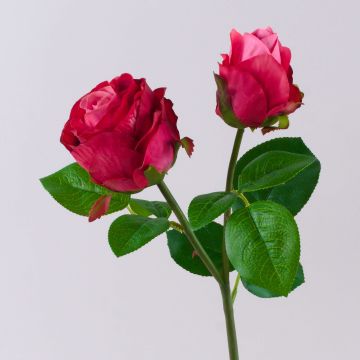 Flor artificial rosa RENATUS, rosa-fucsia, 45 cm, Ø 6-8 cm Flor artificial rosa RENATUS, rosa-fucsia, 45 cm, Ø 6-8 cm