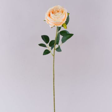 Flor de plástico rosa CHERLEN, color albaricoque, 65 cm, Ø 10 cm Flor de plástico rosa CHERLEN, color albaricoque, 65 cm, Ø 10 cm