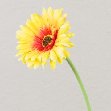 Gerbera artificial TEUDELINDE, amarilla, 55 cm, Ø 8 cm Gerbera artificial TEUDELINDE, amarilla, 55 cm, Ø 8 cm