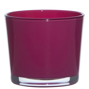 Jardinera de cristal ALENA, magenta, 12,5cm, Ø14,5cm Jardinera de cristal ALENA, magenta, 12,5cm, Ø14,5cm