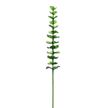 Ramas de eucalipto de plástico GLAUCO con aspecto de cristal, 12 unidades, verde, 80 cm Ramas de eucalipto de plástico GLAUCO con aspecto de cristal, 12 unidades, verde, 80 cm