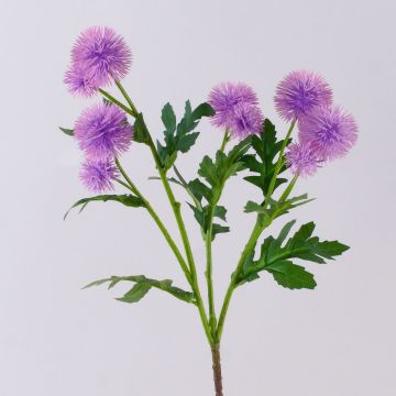 Rama de flores artificiales de cardo esférico TRAUDLINDE, lila, 55 cm, Ø 3-4 cm Rama de flores artificiales de cardo esférico TRAUDLINDE, lila, 55 cm, Ø 3-4 cm