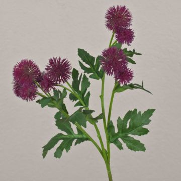 Rama de flor artificial de cardo esférico TRAUDLINDE, violeta, 55 cm, Ø 3-4 cm Rama de flor artificial de cardo esférico TRAUDLINDE, violeta, 55 cm, Ø 3-4 cm