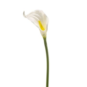 Calla decorativa TEMBANA, blanca, 65 cm Calla decorativa TEMBANA, blanca, 65 cm
