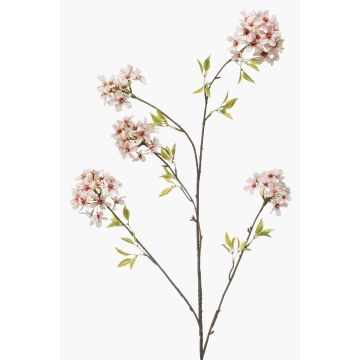Rama decorativa de cerezo ornamental SLIRKO con flores, rosa claro, 115 cm Rama decorativa de cerezo ornamental SLIRKO con flores, rosa claro, 115 cm