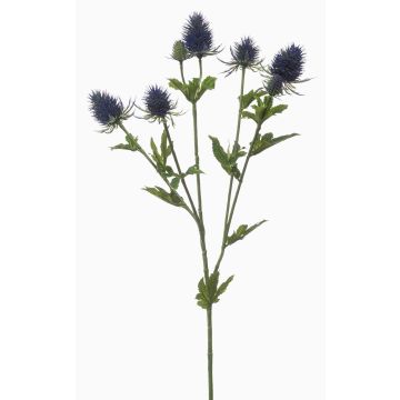Rama decorativa de cardo noble JESSAMINE, azul, 70 cm, Ø 2-4 cm Rama decorativa de cardo noble JESSAMINE, azul, 70 cm, Ø 2-4 cm
