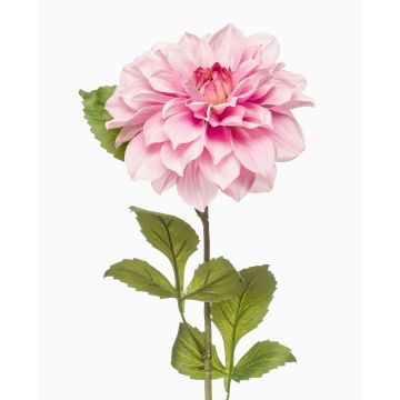 Flor sintético de dalia REFOLG, rosa, 70cm Flor sintético de dalia REFOLG, rosa, 70cm