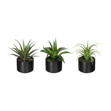 Arreglo de suculentas artificiales FLUKE en maceta de cerámica, 3 unidades, verde, 15 cm