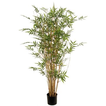 Bambú artificial KEAO, cañas de bambú auténticas, 120 cm