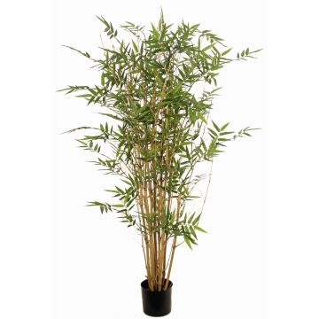 Bambú artificial KEAO, cañas de bambú auténticas, 120cm Bambú artificial KEAO, cañas de bambú auténticas, 120cm