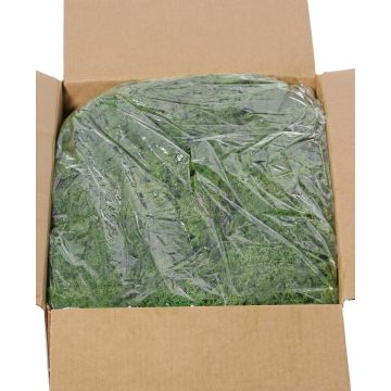 Musgo natural islandés SVEINBJÖRN, verde oscuro, 5 kg Musgo natural islandés SVEINBJÖRN, verde oscuro, 5 kg