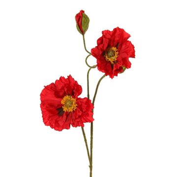 Rama decorativa de amapola PEJA, roja, 90 cm, Ø 11-13 cm Rama decorativa de amapola PEJA, roja, 90 cm, Ø 11-13 cm