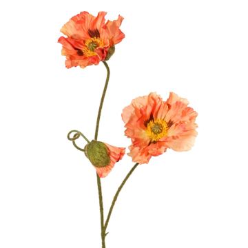 Rama decorativa de amapola PEJA, color melocotón, 90 cm, Ø 11-13 cm Rama decorativa de amapola PEJA, color melocotón, 90 cm, Ø 11-13 cm