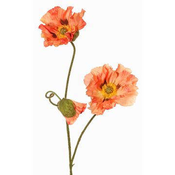 Rama decorativa de amapola PEJA, color melocotón, 90cm, Ø11-13cm Rama decorativa de amapola PEJA, color melocotón, 90cm, Ø11-13cm
