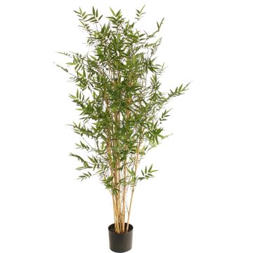 Bambú artificial KEAO, cañas de bambú auténticas, 150 cm Bambú artificial KEAO, cañas de bambú auténticas, 150 cm