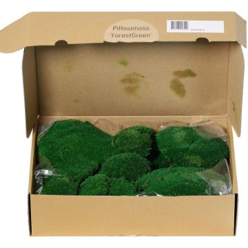 Musgo natural en láminas SEETHA, verde, 800 g, 0,15 m² Musgo natural en láminas SEETHA, verde, 800 g, 0,15 m²