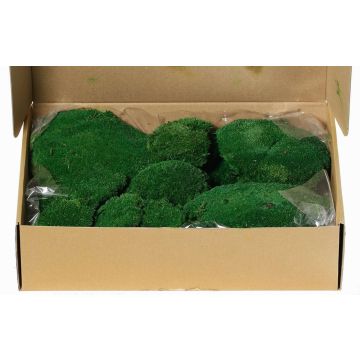 Musgo natural en láminas SEETHA, verde, 800g, 0,15 m² Musgo natural en láminas SEETHA, verde, 800g, 0,15 m²