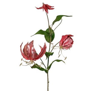 Rama de gloriosa aterciopelada DINFAS, malva y dorado, 80 cm Rama de gloriosa aterciopelada DINFAS, malva y dorado, 80 cm
