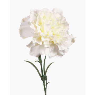 Clavel de plástico VANERA, blanco, 60cm, Ø8cm Clavel de plástico VANERA, blanco, 60cm, Ø8cm